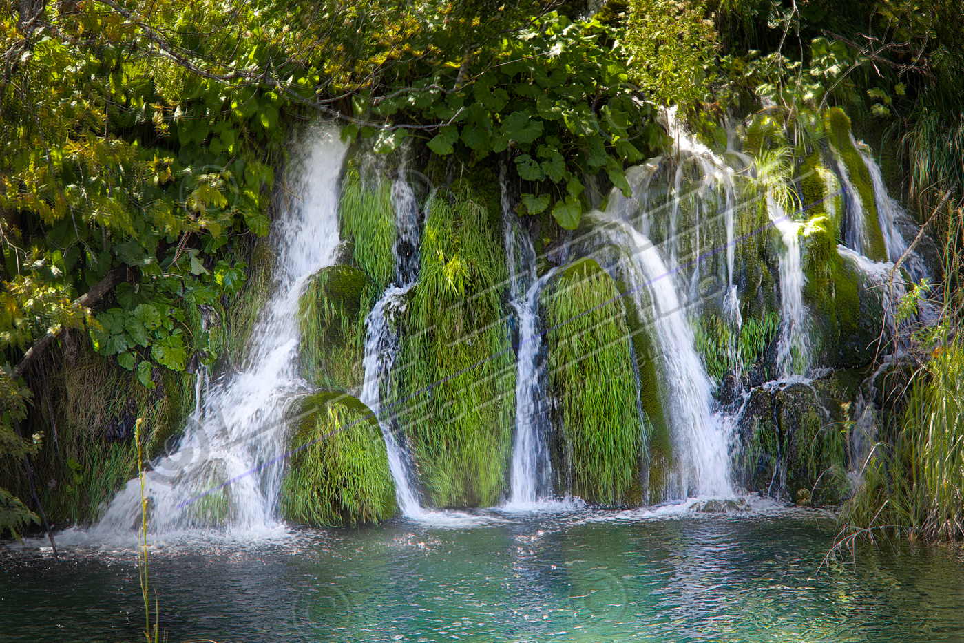 Красота природы 15